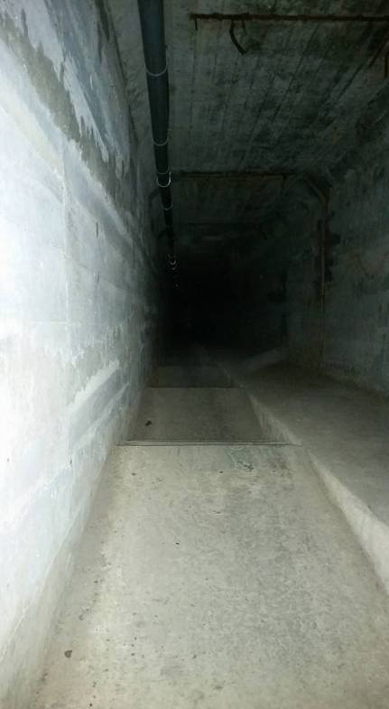 17424670_655219734665041_4949815981272049053_n